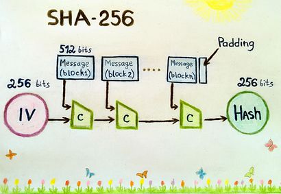 SHA-256