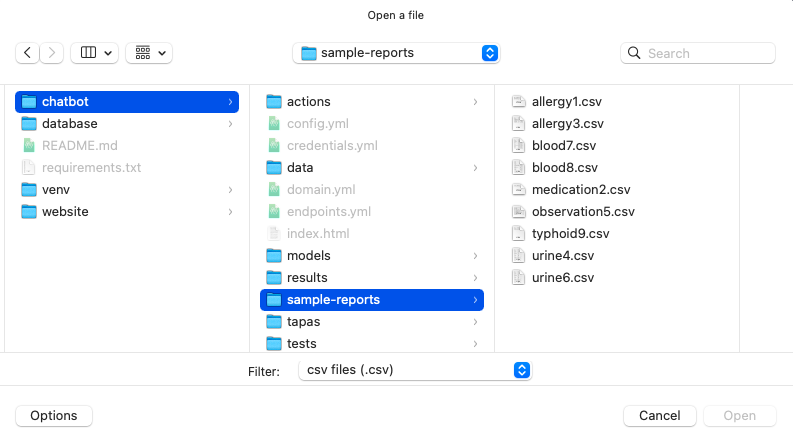 File Selector window