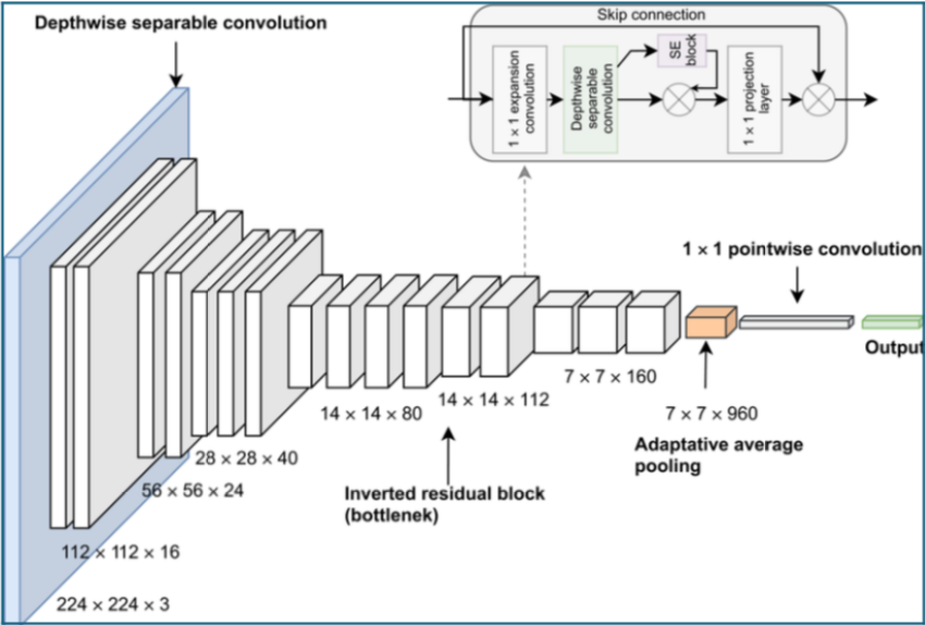 MobileNet Architecture